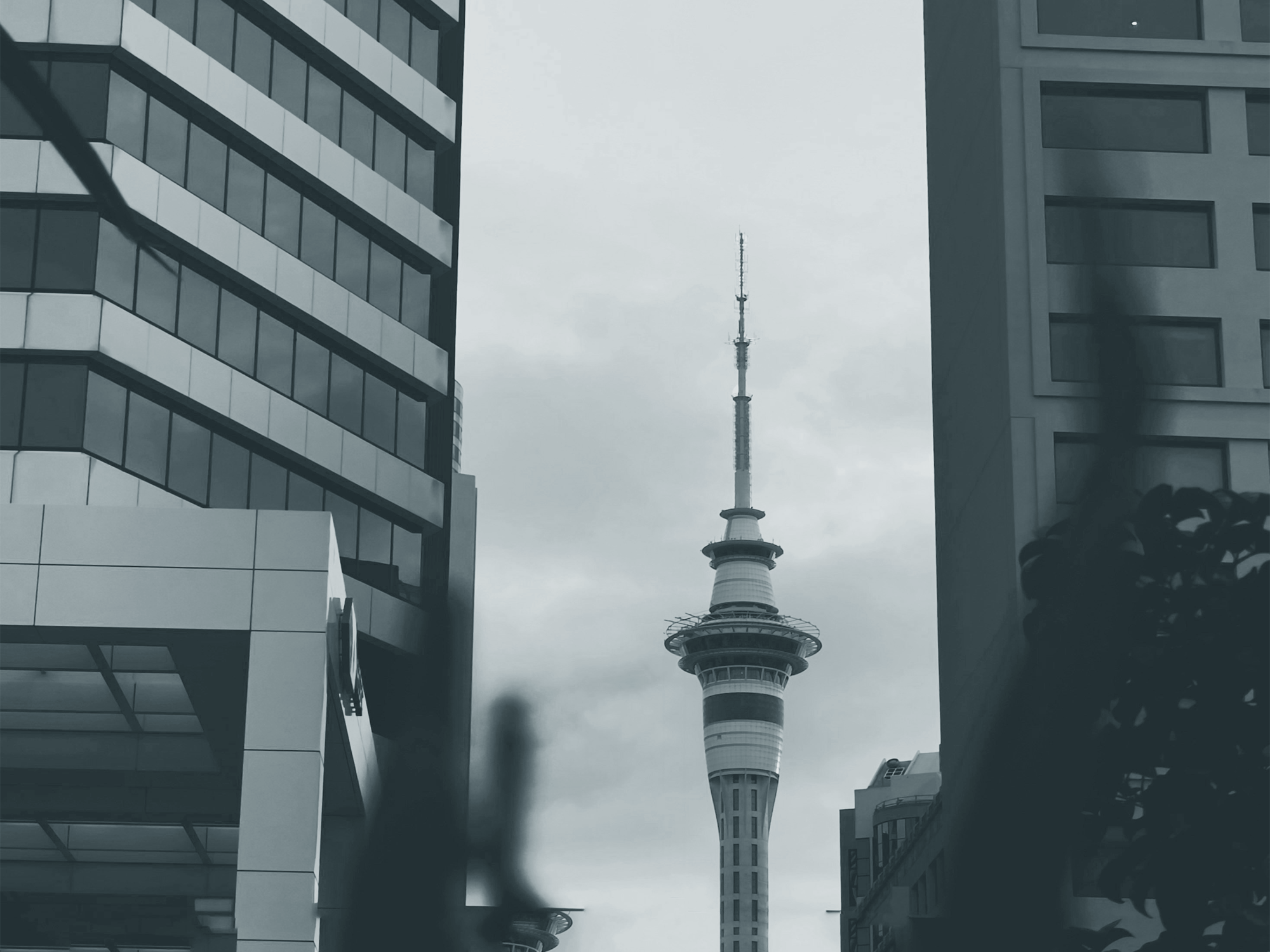 Transform NZ